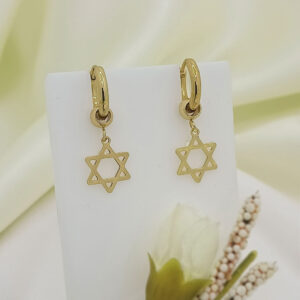 gold star dangle earrings