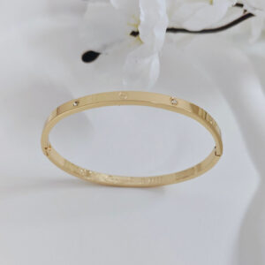 minimal screw crystal kada bangle